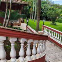 caminhoconscienteipero25